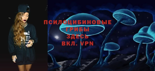 хмурый Рославль