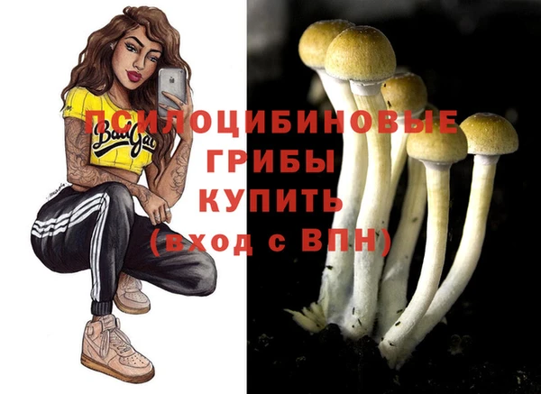бутират Арсеньев